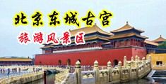 舒服口交免费视频中国北京-东城古宫旅游风景区